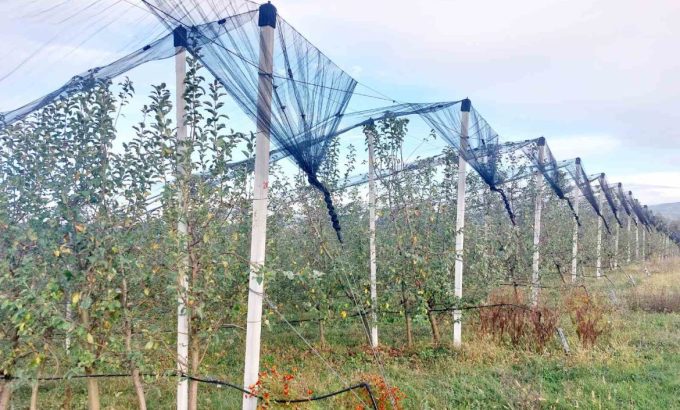 osiguranje_zasad-1170x878 osiguranje_zasad-1170x878